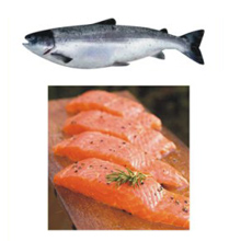 ikan salmon klik untuk informasi jagung manis klik untu