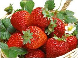 ayo makan sehat dengan buah strawberry