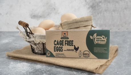 Super Indo Pastikan Standarisasi Keamanan Pangan dan Mendorong Transformasi Telur Ayam Bebas Kandang